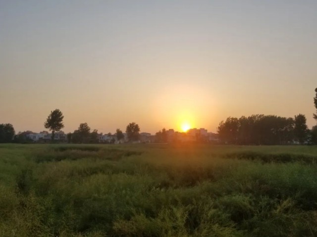 2024072578909661.jpg 7.jpg