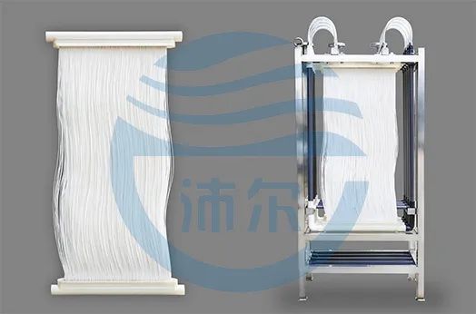 2025042911361902.jpg 2.jpg